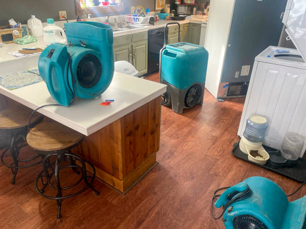 Best Water damage restoration near me  in Simpsonville, KY