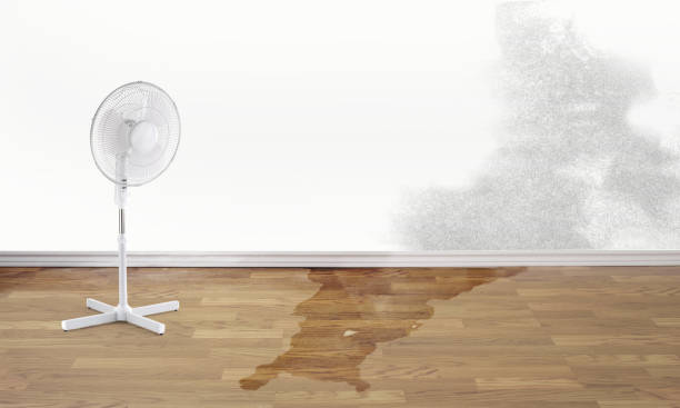 Local water damage restoration in Simpsonville, KY