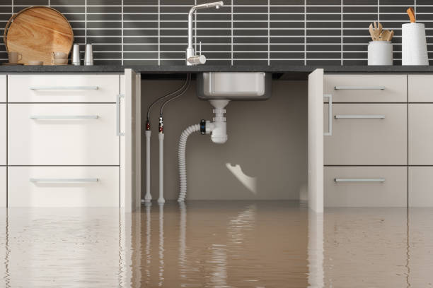 Best Professional water damage repair  in Simpsonville, KY